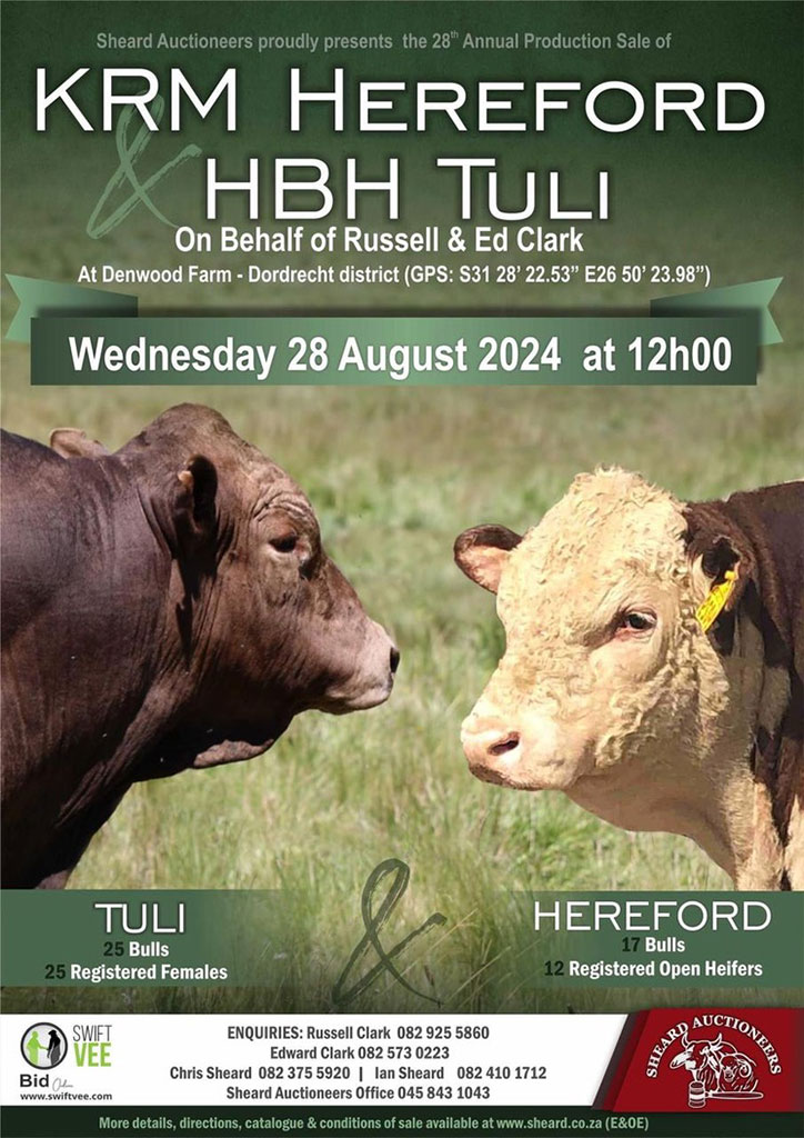 HBH Tuli Production Sale