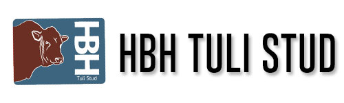 HBH Tuli Production Sale 2023 - 23 August 2023