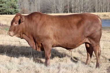 Lot 32