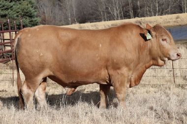 Lot 33